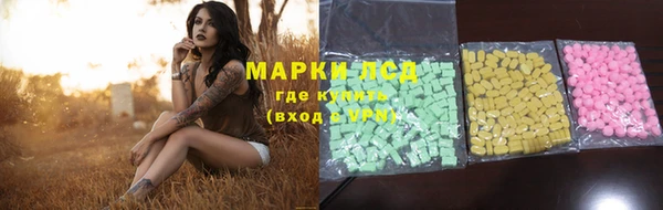 дживик Корсаков