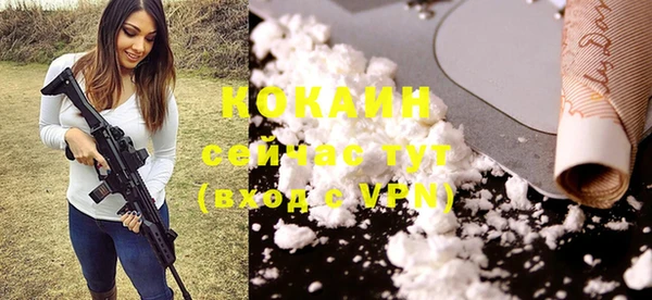 амф Кукмор
