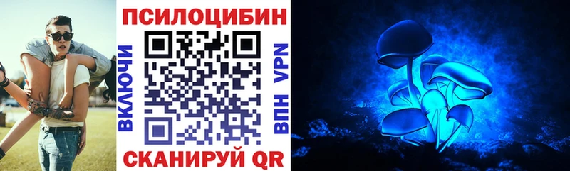 Галлюциногенные грибы прущие грибы  кракен как войти  Михайловка 